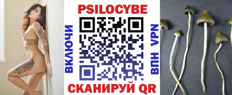 ОМГ ОМГ   Хадыженск  Псилоцибиновые грибы GOLDEN TEACHER 